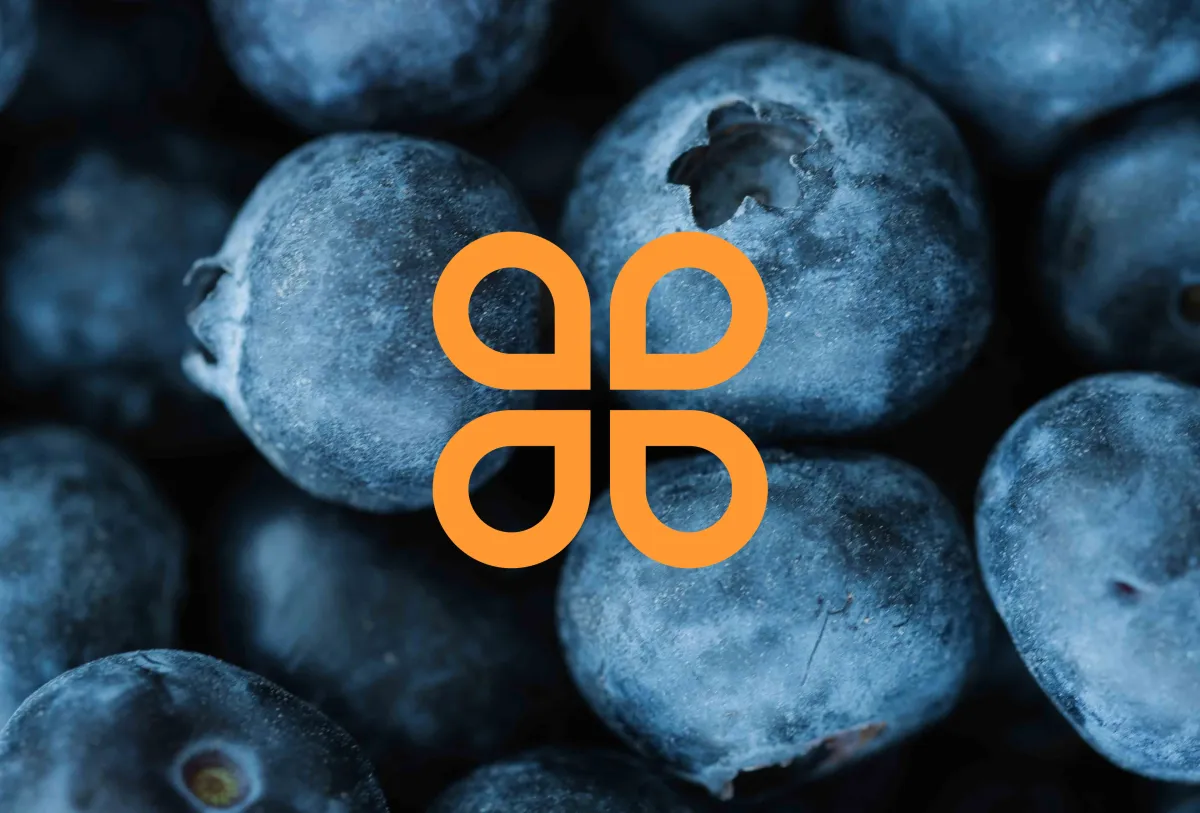 Brand mark on blueberries