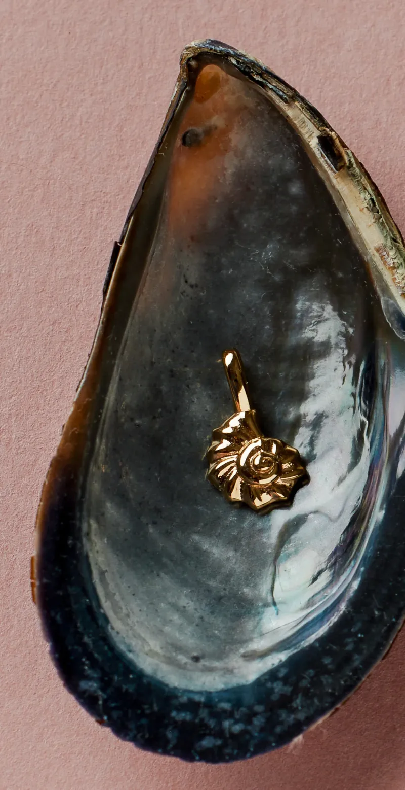 Macro product photography — shell charm, angle one