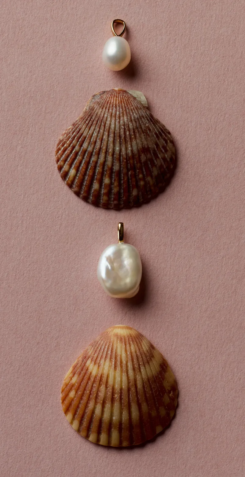 Macro product photography — shell charm, angle two