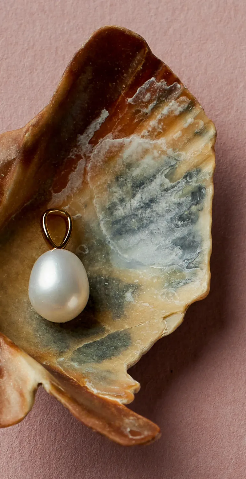 Macro product photography — shell charm, angle three